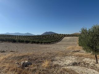 Terreno Rústico en Venta