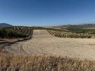 Terreno Rústico en Venta