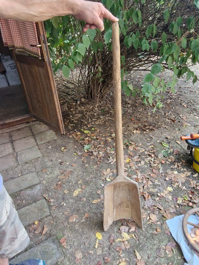 Vecchia pala in legno per cereali