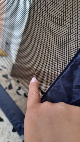 Sponda letto per bambini Foppapedretti