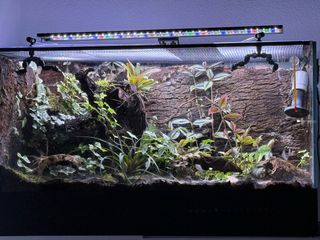 Terrario/Paludarium con illuminazione a LED