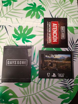 Days Gone Edición Especial PS4