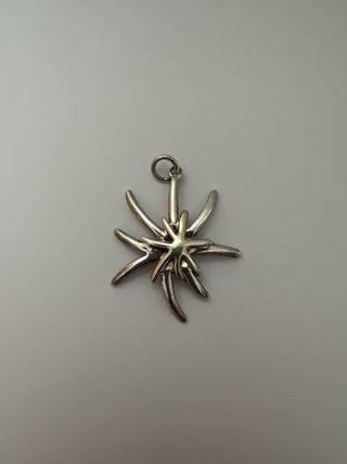 Colgante Estrella de Mar Plata 925