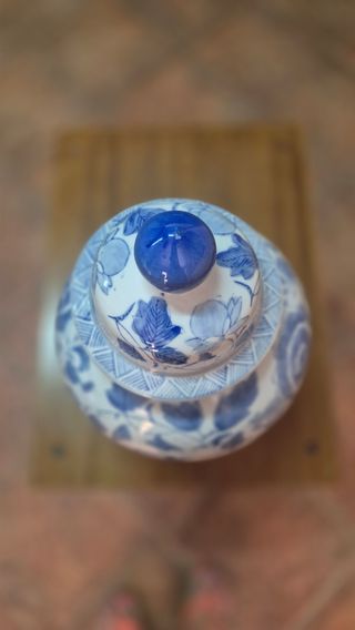 Vaso decorativo in porcellana blu e bianco