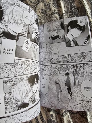 Barreras del corazón 9