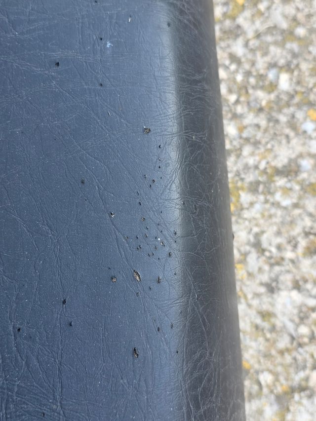 Asiento Moto Guzzi V50