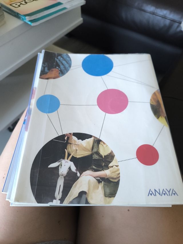 Lengua y Literatura 4. (Trimestres)