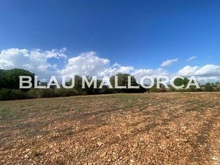 Terreno en venta en Manacor Centro en Manacor