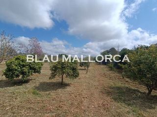 Terreno en venta en Manacor Centro en Manacor