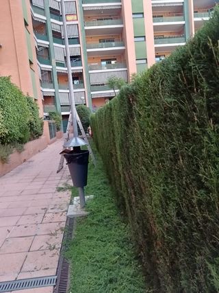 Jardinero Profesional