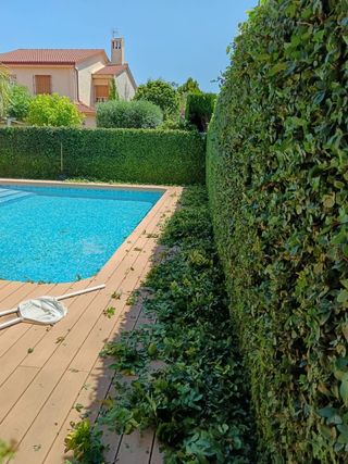 Jardinero Profesional