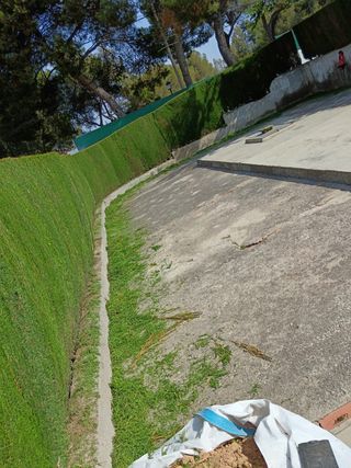 Jardinero Profesional