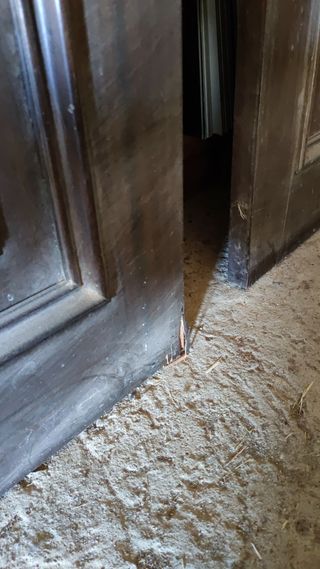 Puertas de madera con cristal