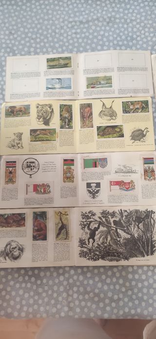 8 album cromos Brooke Bond (varios temas)