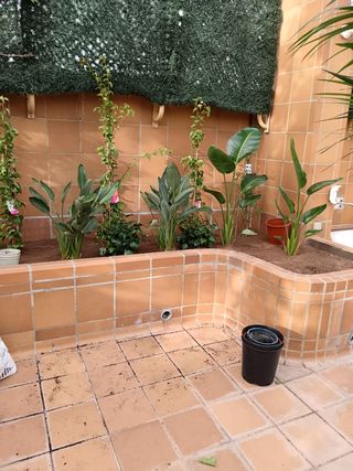 Jardinero Profesional