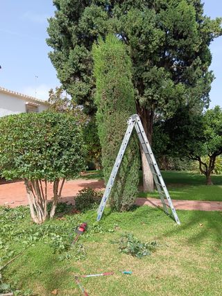 Jardinero Profesional