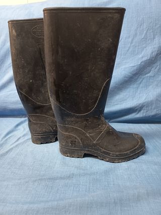 Botas de goma agua
Foca negras