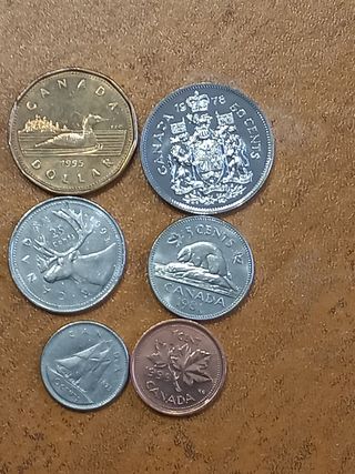 Monete canadesi: Dollaro, 50, 25, 5 e 1 centesimo