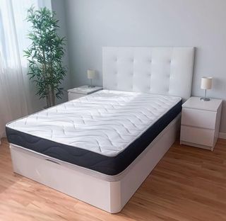 Canapé Canapé Canapé