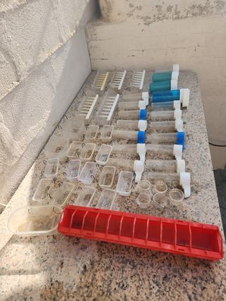 Comederos y bebederos para pájaros