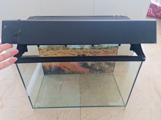 Terrario todo en uno