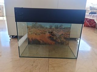 Terrario todo en uno