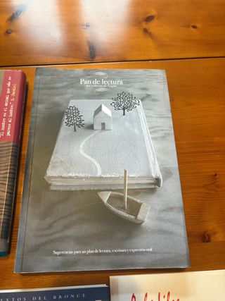 - libros para actividades lectoras