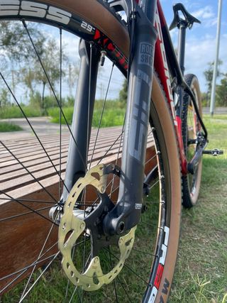 Coluer Poison SL 2024 Talla M