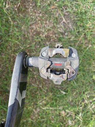 Coluer Poison SL 2024 Talla M