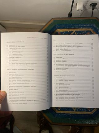 Estadística para las ciencias sociales y laborales