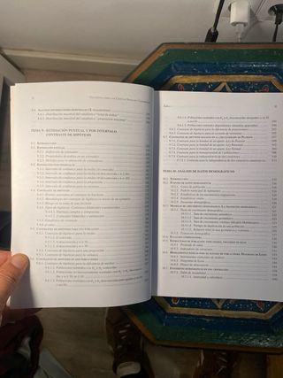 Estadística para las ciencias sociales y laborales