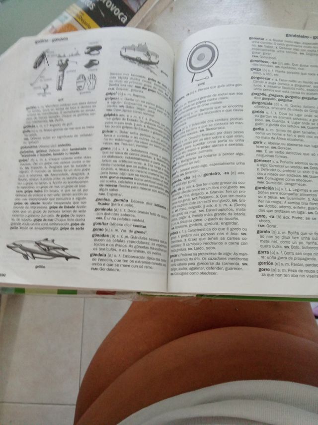NOVO DICCIONARIO DA LINGUA GALEGA