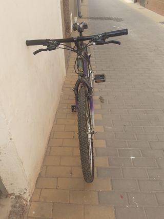 Bicicleta de Montaña Morada y Gris
