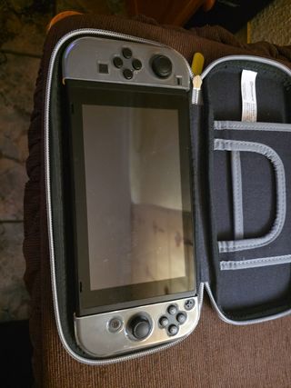 Nintendo Switch Plata