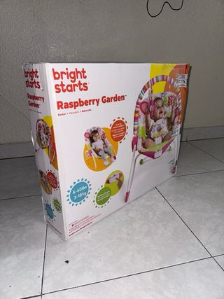 Mecedora Bright Starts Raspberry Garden