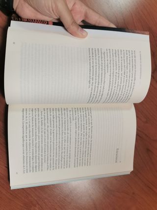 El cerebro de los matemáticos: Los grandes mate...