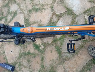 Bicicleta infantil azul WEED