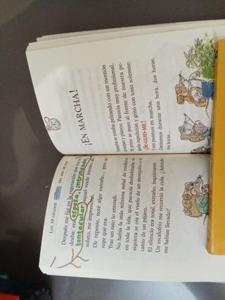 2 libros Geronimo Stilton cómo nuevos