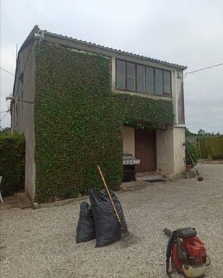 limpieza de parcelas poda de árboles