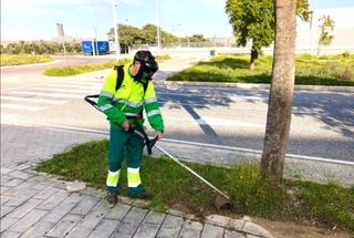 limpieza de parcelas poda de árboles