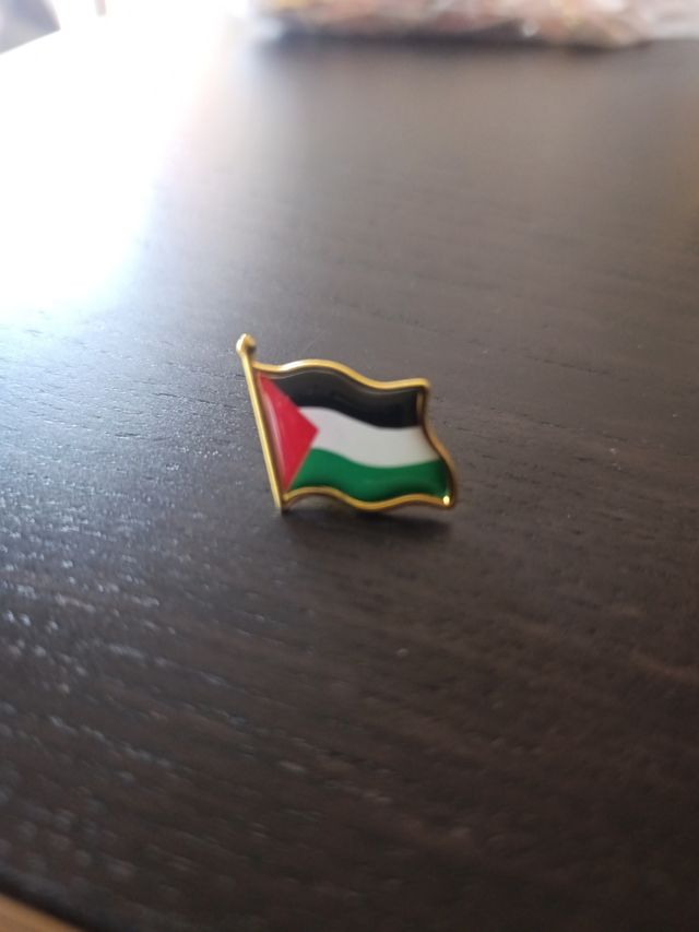 50 Pines Bandera Palestina