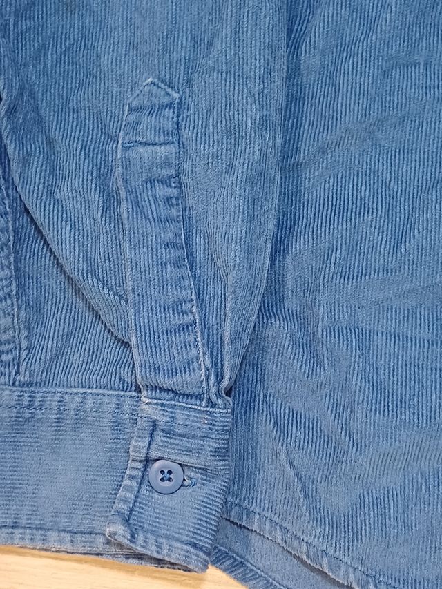 Vintage Carhartt Striped Long Sleeve Blue Shirt