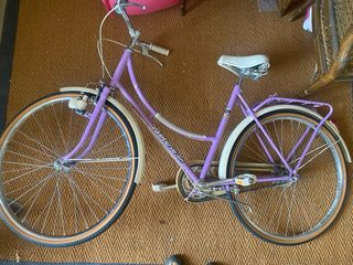 Bicicleta Morada Clásica
