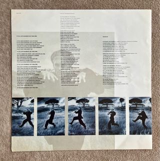 Sting - The Dream of the Blue Turtles Vinilo