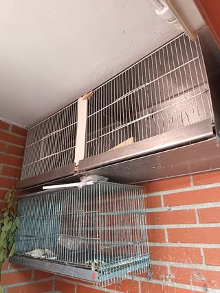 Jaulas para canarios/agapornis