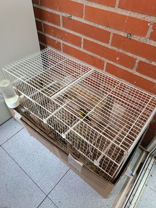 Jaulas para canarios/agapornis