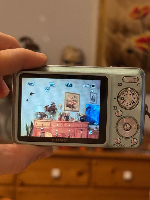 Digicam Sony Cyber-shot W210 – 12,1 MP, Zoom 4x