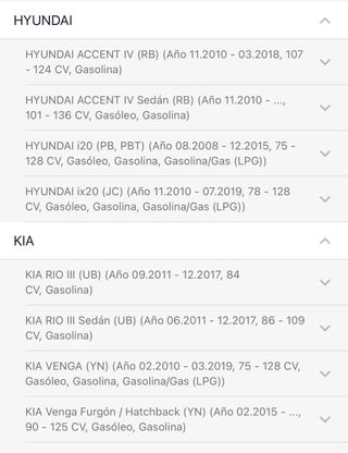 Amortiguadores Traseros Kia/Hyundia. 