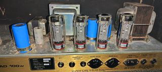 Amplificador Marshall JCM 800 + Pantalla