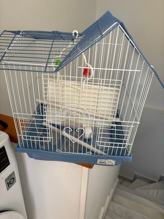 Jaula para pájaros azul y blanca